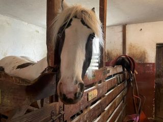 440399313_950784306714224_8348909734287307477_n_(1)